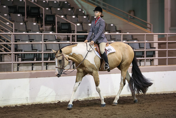 www.ngaphoto.com 2015 Georgia Federation of Saddle Clubs Championship Horse Show