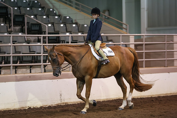 www.ngaphoto.com 2015 Georgia Federation of Saddle Clubs Championship Horse Show