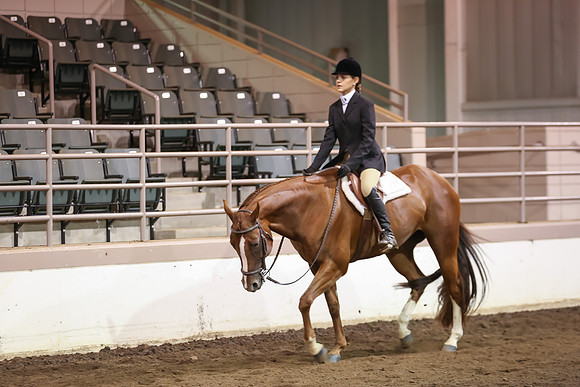 www.ngaphoto.com 2015 Georgia Federation of Saddle Clubs Championship Horse Show