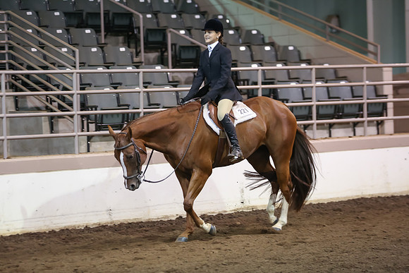 www.ngaphoto.com 2015 Georgia Federation of Saddle Clubs Championship Horse Show