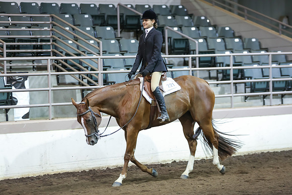 www.ngaphoto.com 2015 Georgia Federation of Saddle Clubs Championship Horse Show