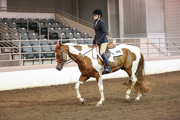 www.ngaphoto.com 2015 Georgia Federation of Saddle Clubs Championship Horse Show