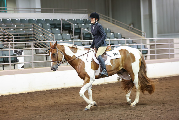 www.ngaphoto.com 2015 Georgia Federation of Saddle Clubs Championship Horse Show