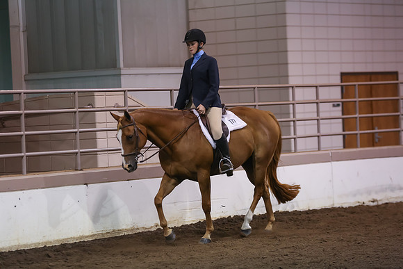 www.ngaphoto.com 2015 Georgia Federation of Saddle Clubs Championship Horse Show