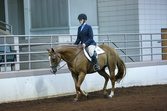 www.ngaphoto.com 2015 Georgia Federation of Saddle Clubs Championship Horse Show