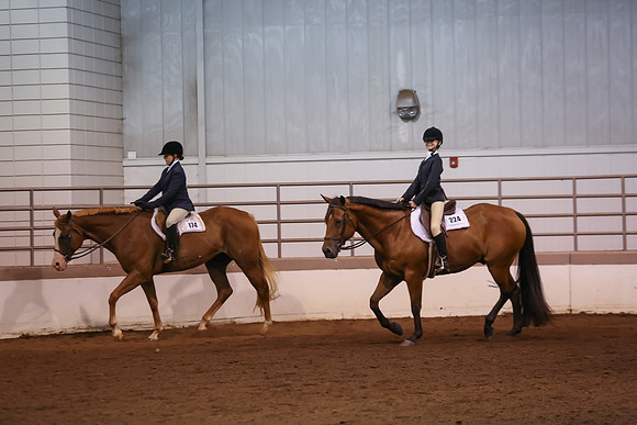www.ngaphoto.com 2015 Georgia Federation of Saddle Clubs Championship Horse Show