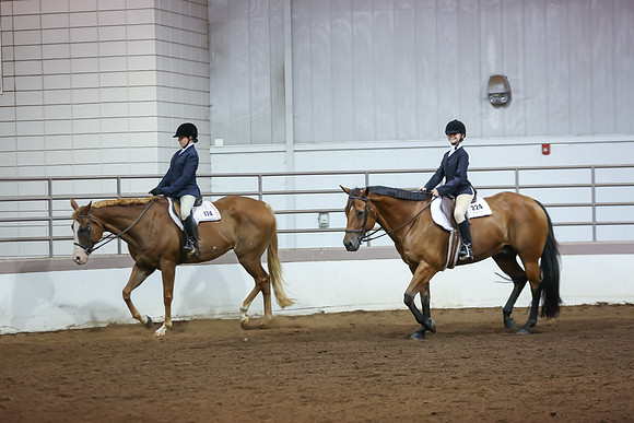 www.ngaphoto.com 2015 Georgia Federation of Saddle Clubs Championship Horse Show
