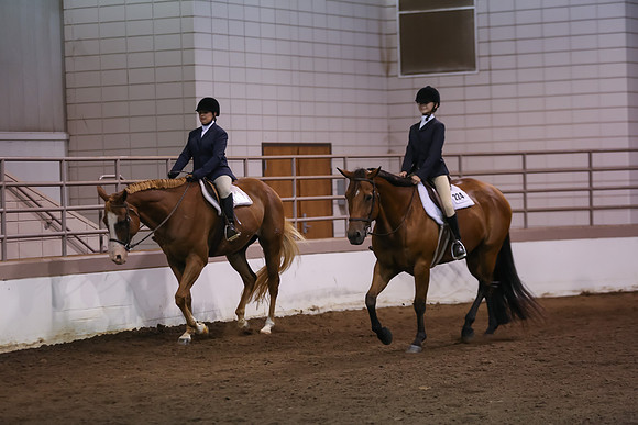 www.ngaphoto.com 2015 Georgia Federation of Saddle Clubs Championship Horse Show