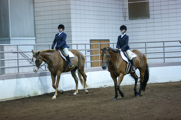 www.ngaphoto.com 2015 Georgia Federation of Saddle Clubs Championship Horse Show