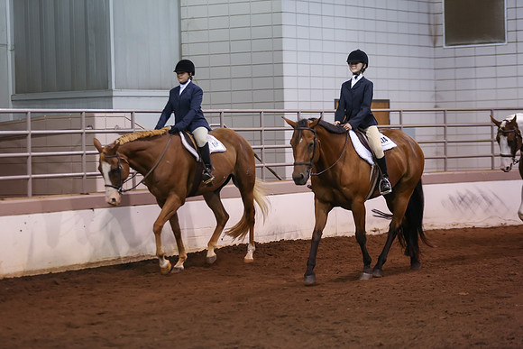 www.ngaphoto.com 2015 Georgia Federation of Saddle Clubs Championship Horse Show