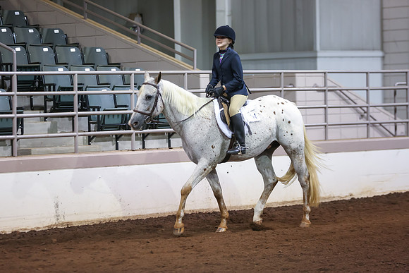 www.ngaphoto.com 2015 Georgia Federation of Saddle Clubs Championship Horse Show