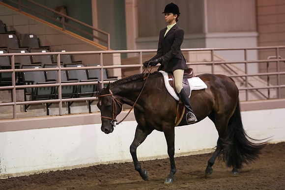 www.ngaphoto.com 2015 Georgia Federation of Saddle Clubs Championship Horse Show