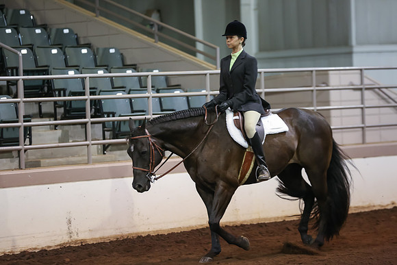 www.ngaphoto.com 2015 Georgia Federation of Saddle Clubs Championship Horse Show