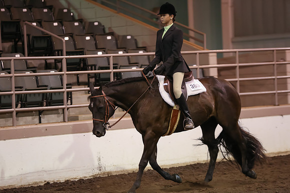 www.ngaphoto.com 2015 Georgia Federation of Saddle Clubs Championship Horse Show