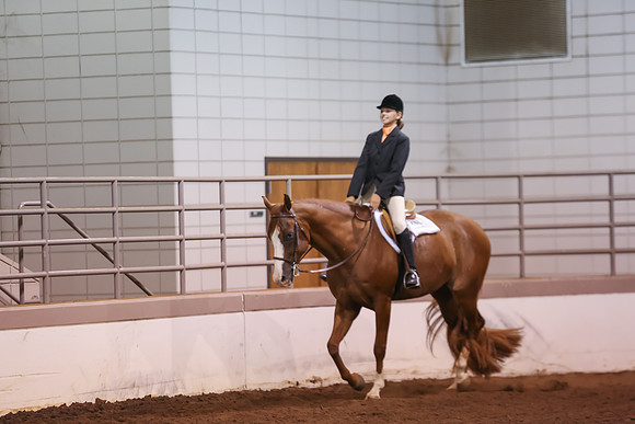 www.ngaphoto.com 2015 Georgia Federation of Saddle Clubs Championship Horse Show