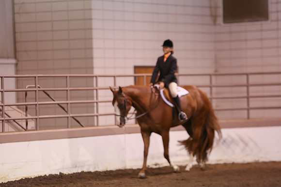 www.ngaphoto.com 2015 Georgia Federation of Saddle Clubs Championship Horse Show