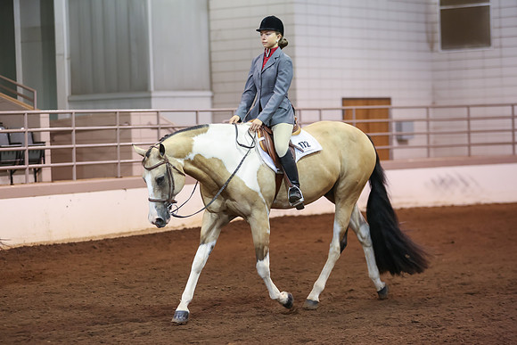 www.ngaphoto.com 2015 Georgia Federation of Saddle Clubs Championship Horse Show
