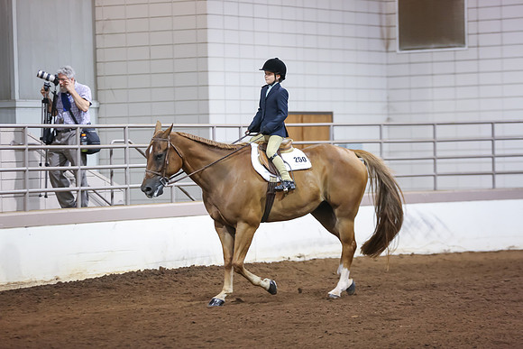 www.ngaphoto.com 2015 Georgia Federation of Saddle Clubs Championship Horse Show