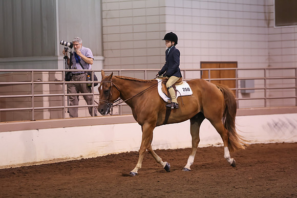 www.ngaphoto.com 2015 Georgia Federation of Saddle Clubs Championship Horse Show