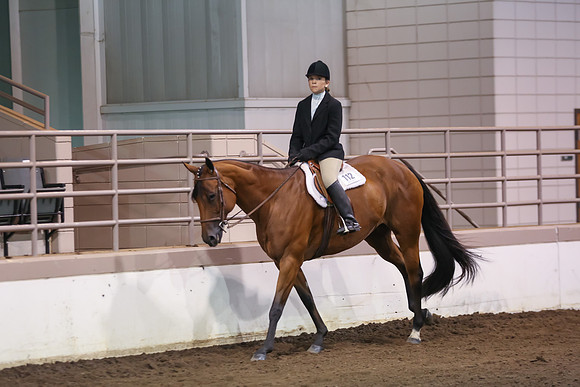 www.ngaphoto.com 2015 Georgia Federation of Saddle Clubs Championship Horse Show