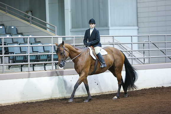 www.ngaphoto.com 2015 Georgia Federation of Saddle Clubs Championship Horse Show