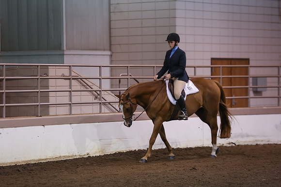 www.ngaphoto.com 2015 Georgia Federation of Saddle Clubs Championship Horse Show