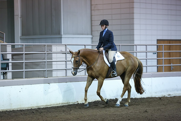 www.ngaphoto.com 2015 Georgia Federation of Saddle Clubs Championship Horse Show