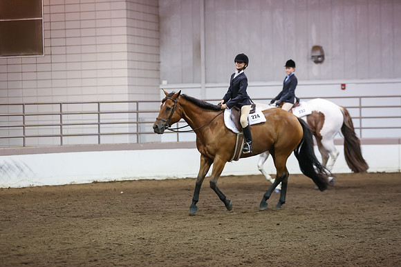 www.ngaphoto.com 2015 Georgia Federation of Saddle Clubs Championship Horse Show