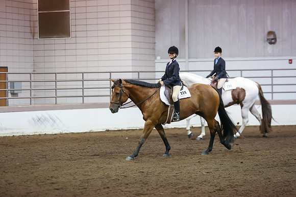www.ngaphoto.com 2015 Georgia Federation of Saddle Clubs Championship Horse Show