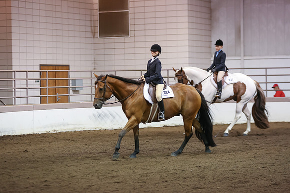 www.ngaphoto.com 2015 Georgia Federation of Saddle Clubs Championship Horse Show