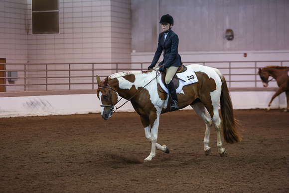 www.ngaphoto.com 2015 Georgia Federation of Saddle Clubs Championship Horse Show