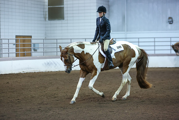 www.ngaphoto.com 2015 Georgia Federation of Saddle Clubs Championship Horse Show