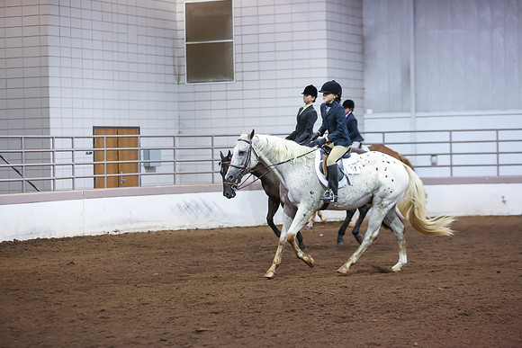 www.ngaphoto.com 2015 Georgia Federation of Saddle Clubs Championship Horse Show