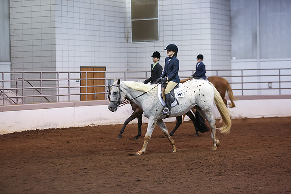 www.ngaphoto.com 2015 Georgia Federation of Saddle Clubs Championship Horse Show