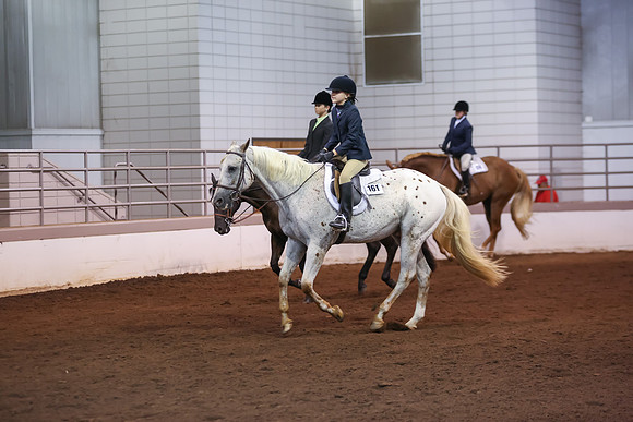 www.ngaphoto.com 2015 Georgia Federation of Saddle Clubs Championship Horse Show
