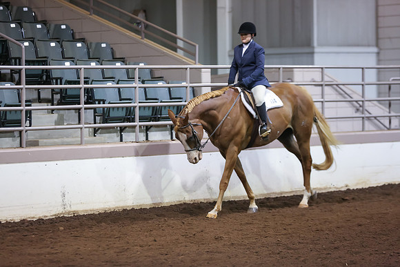 www.ngaphoto.com 2015 Georgia Federation of Saddle Clubs Championship Horse Show