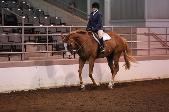 www.ngaphoto.com 2015 Georgia Federation of Saddle Clubs Championship Horse Show