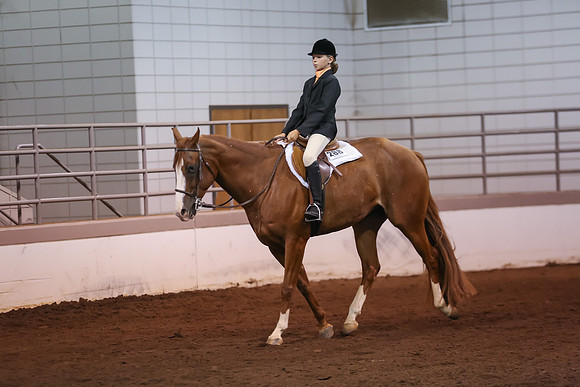 www.ngaphoto.com 2015 Georgia Federation of Saddle Clubs Championship Horse Show
