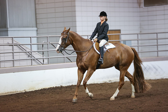 www.ngaphoto.com 2015 Georgia Federation of Saddle Clubs Championship Horse Show
