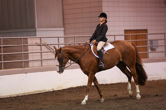 www.ngaphoto.com 2015 Georgia Federation of Saddle Clubs Championship Horse Show