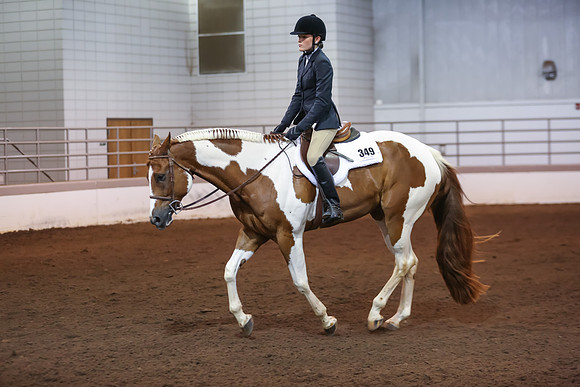 www.ngaphoto.com 2015 Georgia Federation of Saddle Clubs Championship Horse Show