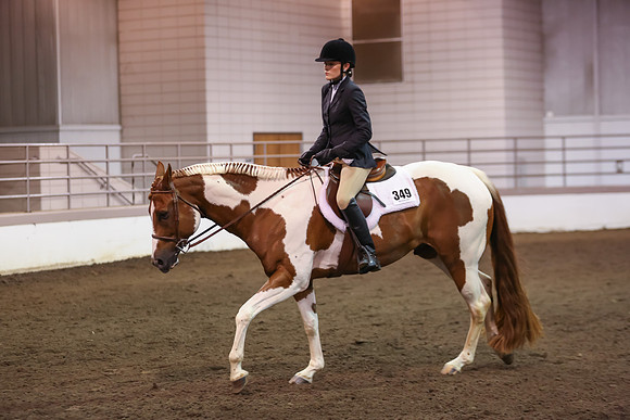 www.ngaphoto.com 2015 Georgia Federation of Saddle Clubs Championship Horse Show