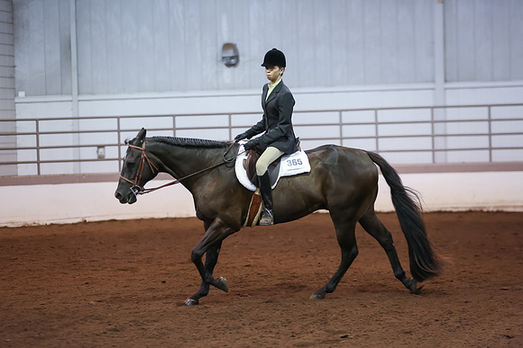 www.ngaphoto.com 2015 Georgia Federation of Saddle Clubs Championship Horse Show