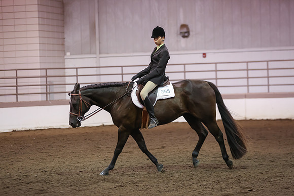 www.ngaphoto.com 2015 Georgia Federation of Saddle Clubs Championship Horse Show