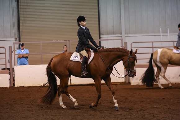 www.ngaphoto.com 2015 Georgia Federation of Saddle Clubs Championship Horse Show