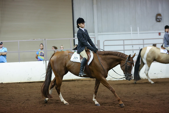 www.ngaphoto.com 2015 Georgia Federation of Saddle Clubs Championship Horse Show