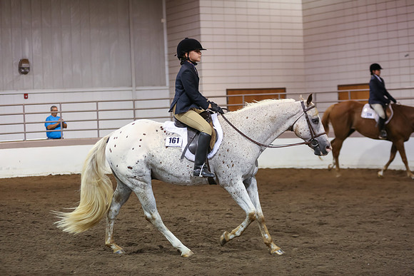 www.ngaphoto.com 2015 Georgia Federation of Saddle Clubs Championship Horse Show
