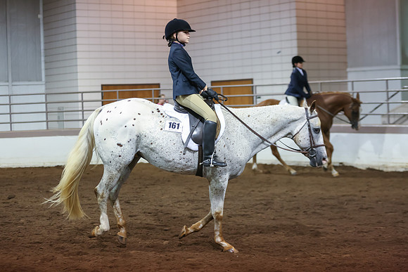 www.ngaphoto.com 2015 Georgia Federation of Saddle Clubs Championship Horse Show