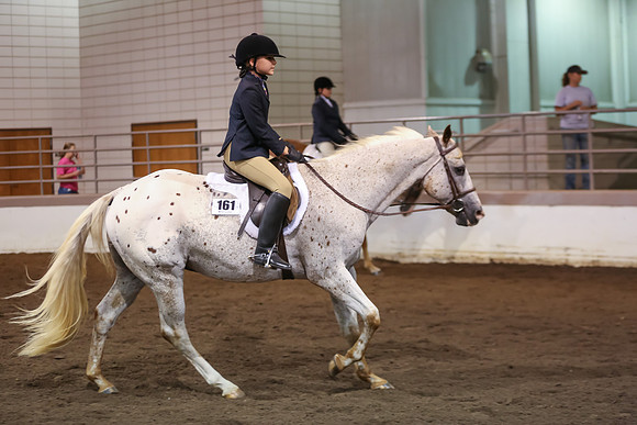 www.ngaphoto.com 2015 Georgia Federation of Saddle Clubs Championship Horse Show