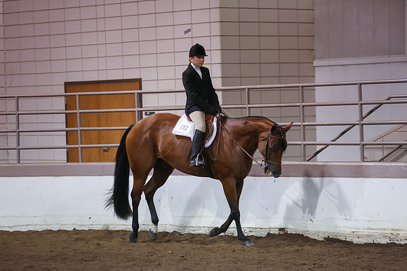 www.ngaphoto.com 2015 Georgia Federation of Saddle Clubs Championship Horse Show